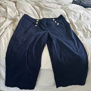 Talbots Dark Blue Pants with Gold Accents